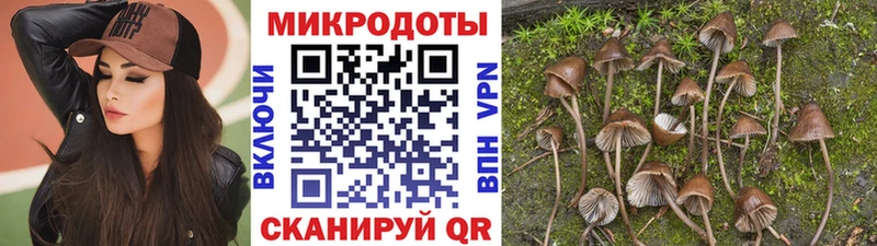 Псилоцибиновые грибы Cubensis hydra сайт Старая Русса наркошоп